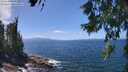 ./images/koeye/fitz-hugh/20260619/fitz-hugh20260619_135501M.jpg