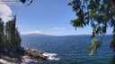 ./images/koeye/fitz-hugh/20260619/fitz-hugh20260619_140501M.jpg