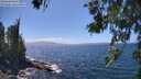 ./images/koeye/fitz-hugh/20260619/fitz-hugh20260619_145001M.jpg