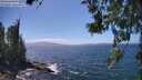 ./images/koeye/fitz-hugh/20260619/fitz-hugh20260619_145501M.jpg