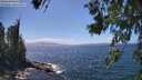 ./images/koeye/fitz-hugh/20260619/fitz-hugh20260619_150001M.jpg