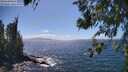 ./images/koeye/fitz-hugh/20260619/fitz-hugh20260619_151001M.jpg