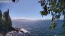 ./images/koeye/fitz-hugh/20260619/fitz-hugh20260619_151501M.jpg