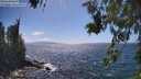./images/koeye/fitz-hugh/20260619/fitz-hugh20260619_153501M.jpg
