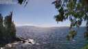 ./images/koeye/fitz-hugh/20260619/fitz-hugh20260619_154501M.jpg