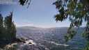 ./images/koeye/fitz-hugh/20260619/fitz-hugh20260619_155001M.jpg