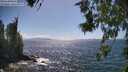 ./images/koeye/fitz-hugh/20260619/fitz-hugh20260619_155501M.jpg