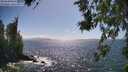 ./images/koeye/fitz-hugh/20260619/fitz-hugh20260619_161002M.jpg