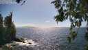 ./images/koeye/fitz-hugh/20260619/fitz-hugh20260619_161501M.jpg