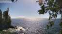 ./images/koeye/fitz-hugh/20260619/fitz-hugh20260619_162501M.jpg