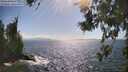 ./images/koeye/fitz-hugh/20260619/fitz-hugh20260619_164001M.jpg