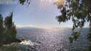 ./images/koeye/fitz-hugh/20260619/fitz-hugh20260619_164501M.jpg