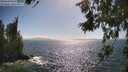 ./images/koeye/fitz-hugh/20260619/fitz-hugh20260619_165001M.jpg