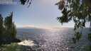 ./images/koeye/fitz-hugh/20260619/fitz-hugh20260619_165502M.jpg
