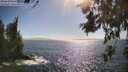 ./images/koeye/fitz-hugh/20260619/fitz-hugh20260619_171001M.jpg