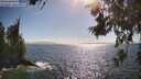 ./images/koeye/fitz-hugh/20260619/fitz-hugh20260619_171501M.jpg