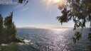 ./images/koeye/fitz-hugh/20260619/fitz-hugh20260619_172002M.jpg