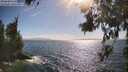./images/koeye/fitz-hugh/20260619/fitz-hugh20260619_172501M.jpg