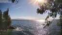 ./images/koeye/fitz-hugh/20260619/fitz-hugh20260619_173501M.jpg