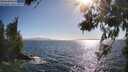 ./images/koeye/fitz-hugh/20260619/fitz-hugh20260619_175502M.jpg