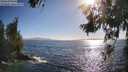./images/koeye/fitz-hugh/20260619/fitz-hugh20260619_181501M.jpg