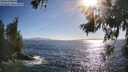 ./images/koeye/fitz-hugh/20260619/fitz-hugh20260619_182001M.jpg