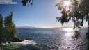 ./images/koeye/fitz-hugh/20260619/fitz-hugh20260619_183501M.jpg