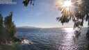 ./images/koeye/fitz-hugh/20260619/fitz-hugh20260619_184001M.jpg