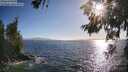 ./images/koeye/fitz-hugh/20260619/fitz-hugh20260619_185002M.jpg