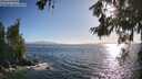 ./images/koeye/fitz-hugh/20260619/fitz-hugh20260619_185501M.jpg
