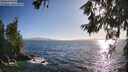 ./images/koeye/fitz-hugh/20260619/fitz-hugh20260619_190501M.jpg