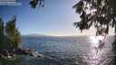 ./images/koeye/fitz-hugh/20260619/fitz-hugh20260619_191001M.jpg