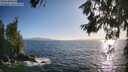./images/koeye/fitz-hugh/20260619/fitz-hugh20260619_192001M.jpg