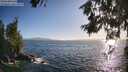 ./images/koeye/fitz-hugh/20260619/fitz-hugh20260619_192502M.jpg