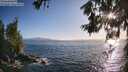 ./images/koeye/fitz-hugh/20260619/fitz-hugh20260619_193501M.jpg