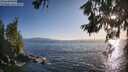 ./images/koeye/fitz-hugh/20260619/fitz-hugh20260619_194502M.jpg