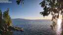 ./images/koeye/fitz-hugh/20260619/fitz-hugh20260619_201501M.jpg
