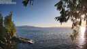 ./images/koeye/fitz-hugh/20260619/fitz-hugh20260619_202002M.jpg