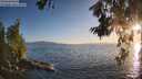 ./images/koeye/fitz-hugh/20260619/fitz-hugh20260619_203001M.jpg