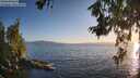 ./images/koeye/fitz-hugh/20260619/fitz-hugh20260619_203501M.jpg