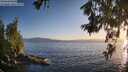 ./images/koeye/fitz-hugh/20260619/fitz-hugh20260619_204001M.jpg