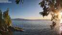 ./images/koeye/fitz-hugh/20260619/fitz-hugh20260619_204501M.jpg