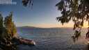 ./images/koeye/fitz-hugh/20260619/fitz-hugh20260619_211001M.jpg