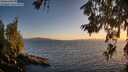 ./images/koeye/fitz-hugh/20260619/fitz-hugh20260619_211501M.jpg