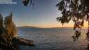 ./images/koeye/fitz-hugh/20260619/fitz-hugh20260619_212501M.jpg