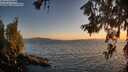 ./images/koeye/fitz-hugh/20260619/fitz-hugh20260619_213001M.jpg
