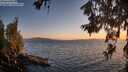 ./images/koeye/fitz-hugh/20260619/fitz-hugh20260619_213501M.jpg