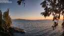 ./images/koeye/fitz-hugh/20260619/fitz-hugh20260619_214001M.jpg