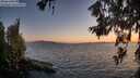 ./images/koeye/fitz-hugh/20260619/fitz-hugh20260619_214501M.jpg