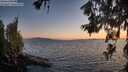 ./images/koeye/fitz-hugh/20260619/fitz-hugh20260619_215002M.jpg